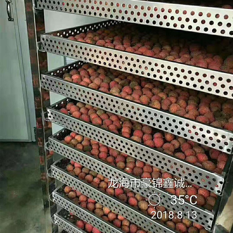 漳州荔枝烘干机，新型环保节能的烘干机设备
